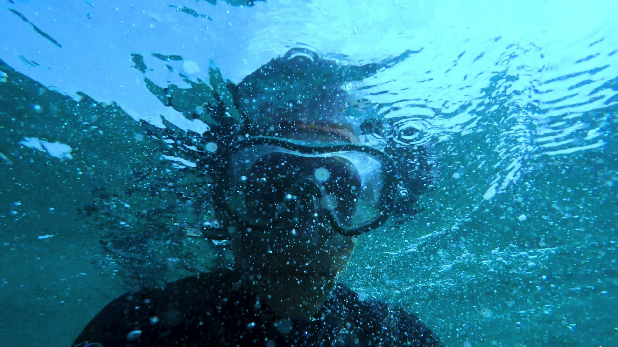 dive spot