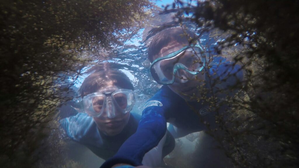 snorkeling
