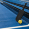 olahraga pickleball